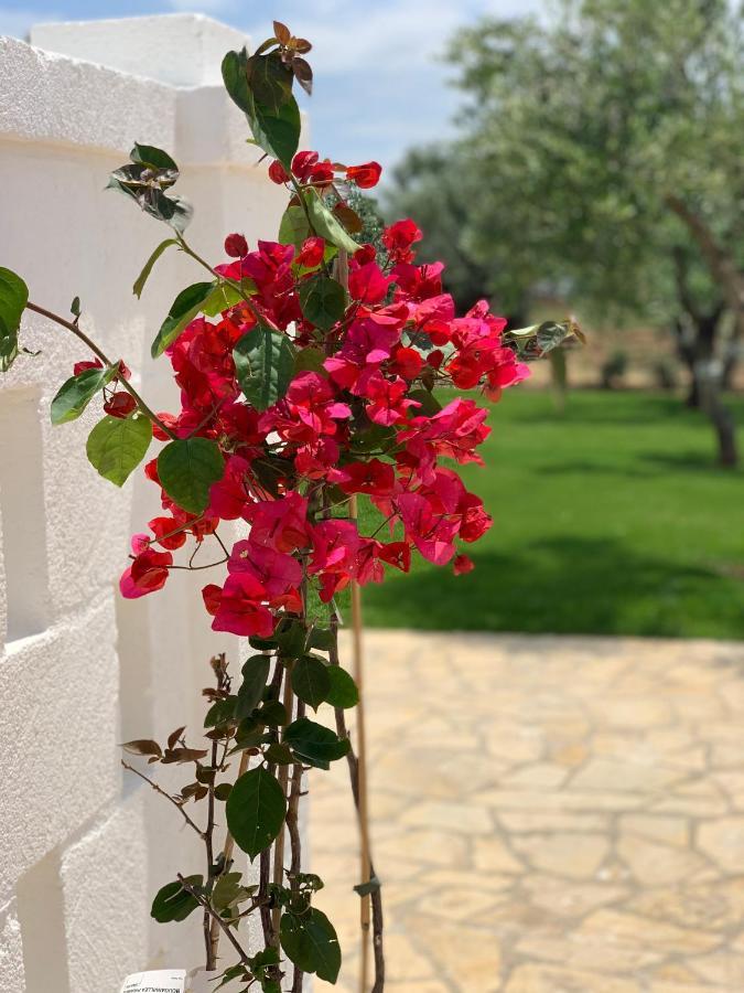 L'Ulivo Bed And Breakfast Savelletri Екстериор снимка